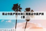 双气是什么意思