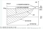 累计期权的结构分析