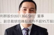 利群股份(601366.SH)：董事、副总裁胡培峰拟减持不超95万股股份