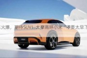 电车火爆，期待SUV！大摩高呼小米“不要太早下车”！