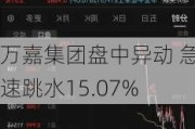 万嘉集团盘中异动 急速跳水15.07%