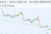 港股异动丨美图大涨超10%，料中期经调整净利同比增长不低于80%