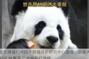 官方辟谣！中国大熊猫保护研究中心澄清：旅泰大熊猫‘林惠’死亡非由殴打造成