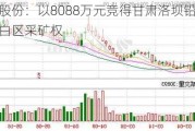 金徽股份：以8088万元竞得甘肃洛坝铅锌矿空白区采矿权