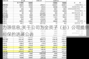 力源信息:关于公司为全资子（孙）公司提供担保的进展公告