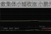 美股三大指数集体小幅收涨 小鹏汽车涨超6%