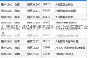 润丰股份:2024年半年度利润分配实施的公告