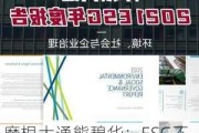 摩根大通熊碧华：ESG不再是一个“可选项”而是“必选项”