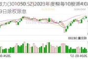 雷电微力(301050.SZ)2023年度拟每10股派4.08元 5月29日除权除息