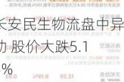 长安民生物流盘中异动 股价大跌5.14%