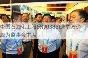 中国石油化工股份(00386)选举张少峰为监事会主席