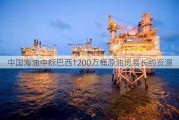 中国海油中标巴西1200万桶原油贸易长约资源