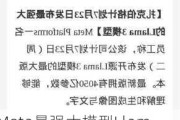 Meta最强大模型Llama 3行销遇挫：被爆亚马逊和微软“看不上”