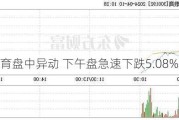 丽翔教育盘中异动 下午盘急速下跌5.08%