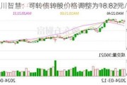 宏川智慧：可转债转股价格调整为18.82元/股