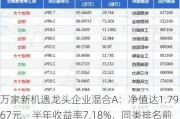 万家新机遇龙头企业混合A：净值达1.7967元，半年收益率7.18%，同类排名前12%