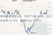 摩根科技前沿混合A：净值下跌0.63%，近6个月收益率-0.14%，规模达26.52亿元