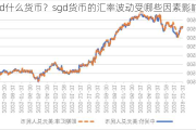 sgd什么货币？sgd货币的汇率波动受哪些因素影响？