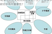 NL单位的定义和应用领域是什么？它在科学研究中有何重要性？