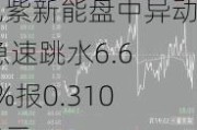 九紫新能盘中异动 急速跳水6.68%报0.310美元