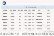 多板块小幅上扬，两黄金股ETF半日涨幅近2%