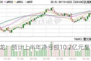 美凯龙：预计上半年净亏损10.2亿元至13.8亿元