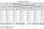 主动权益类基金二季报披露：54只基金浮盈超10%，部分浮亏超20%