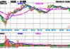 RIMBACO(01953.HK)中期收益减少约42.9%至约1.26亿令吉