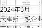 2024年6月天津新三板企业市值排行榜：13家企业去年净利润超3000万元