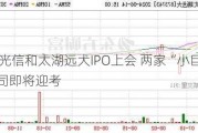 成电光信和太湖远大IPO上会 两家“小巨人”公司即将迎考