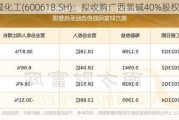 氯碱化工(600618.SH)：拟收购广西氯碱40%股权