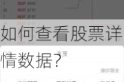 如何查看股票详情数据？