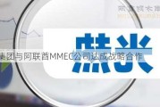 双良集团与阿联酋MMEC公司达成战略合作