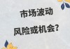 如何理解市场波动并管理投资风险？这种市场波动如何进行规避和观察？