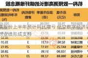 纵横股份上半年预计同比增亏 低空数字经济项目尚未对业绩形成支持