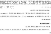 氯碱化工(600618.SH)：2023年年度权益分派10派2元