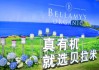 太阳纸业与蒙牛集团共商包装创新与可持续发展新思路