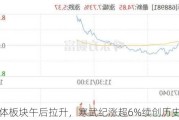 半导体板块午后拉升，寒武纪涨超6%续创历史新高