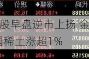 稀土概念股早盘逆市上扬 金力永磁涨超4%中国稀土涨超1%