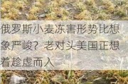 俄罗斯小麦冻害形势比想象严峻？老对头美国正想着趁虚而入