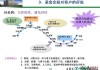 特定股票定投策略：定投特定股票的策略