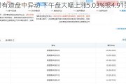 网易有道盘中异动 下午盘大幅上涨5.03%报4.91美元