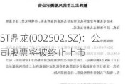 ST鼎龙(002502.SZ)：公司股票将被终止上市