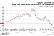 美国作物带降雨预报缓解产量担忧，芝加哥大豆和玉米价格回落