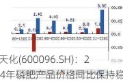 云天化(600096.SH)：2024年磷肥产品价格同比保持稳定