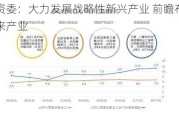 国资委：大力发展战略性新兴产业 前瞻布局未来产业