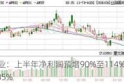 中国铝业：上半年净利润预增90%至114%，股价涨8.85%