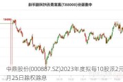 中鼎股份(000887.SZ)2023年度拟每10股派2元 6月25日除权除息