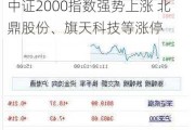 机构称下半年小盘股机会丰富 中证2000指数强势上涨 北鼎股份、旗天科技等涨停