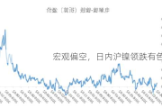 宏观偏空，日内沪镍领跌有色金属